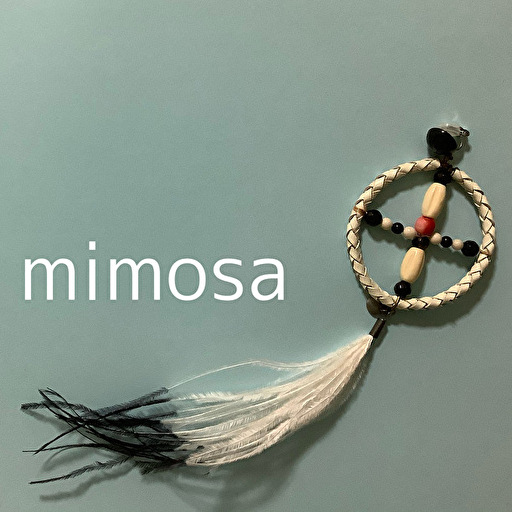 mimosa